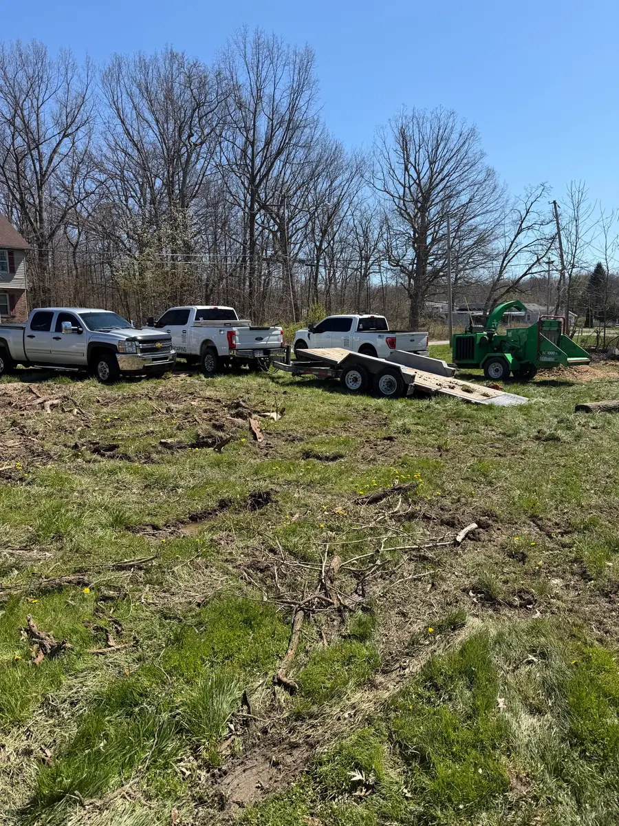Cleared site with debris hauled off