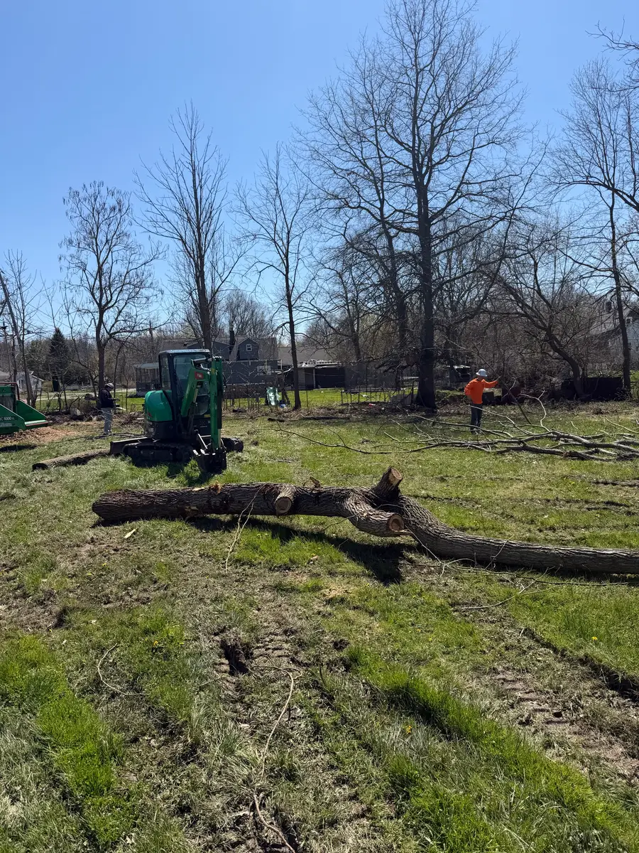 Mini excavator moving a felled log