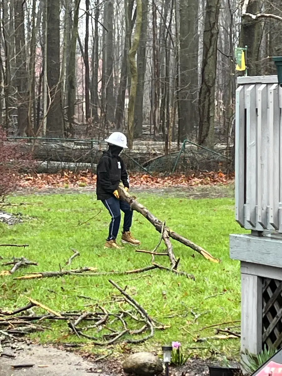 Clearing downed branches after a storm