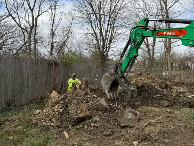 Excavator clearing brush along a fence line